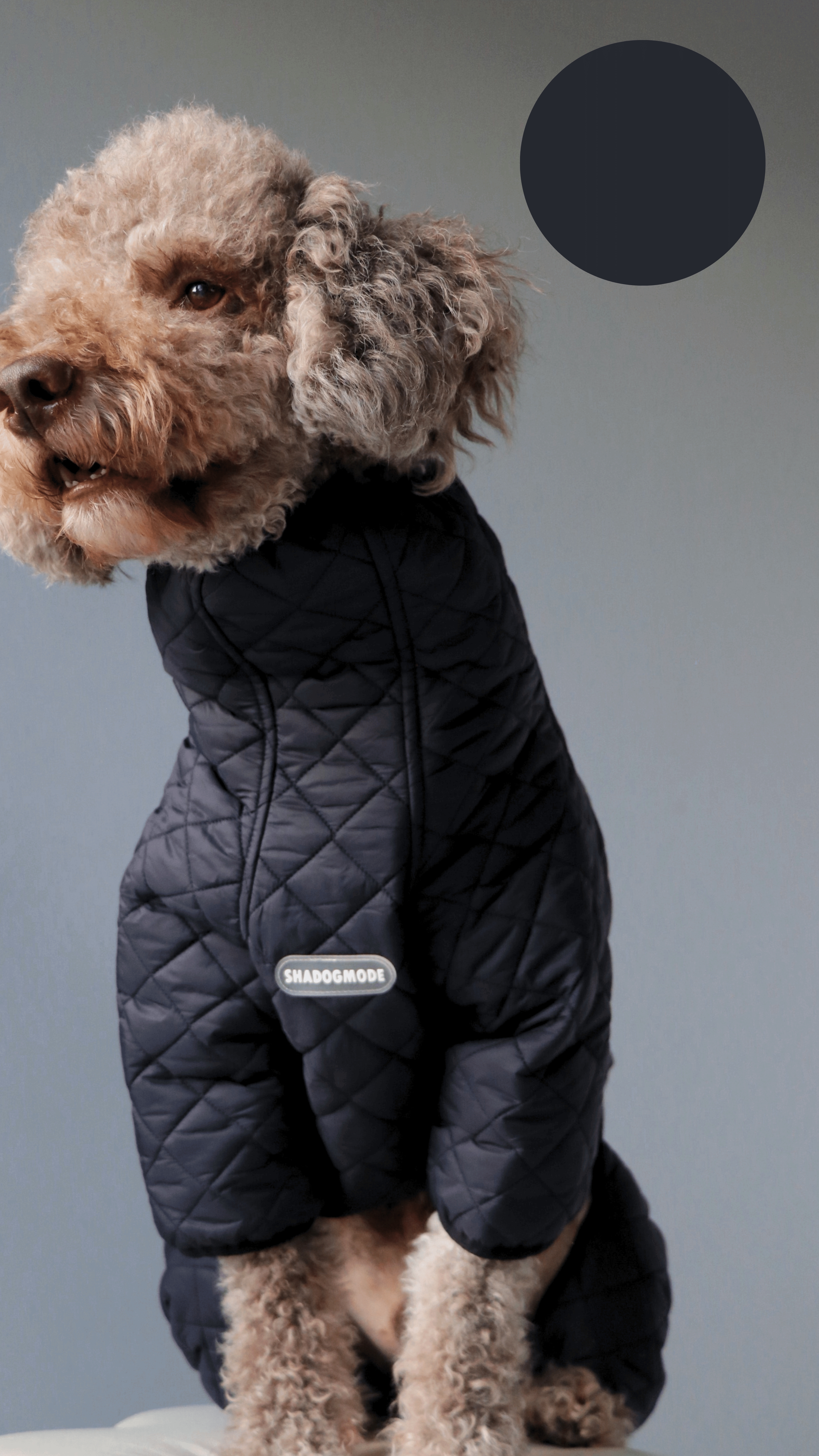 BLACK MONT